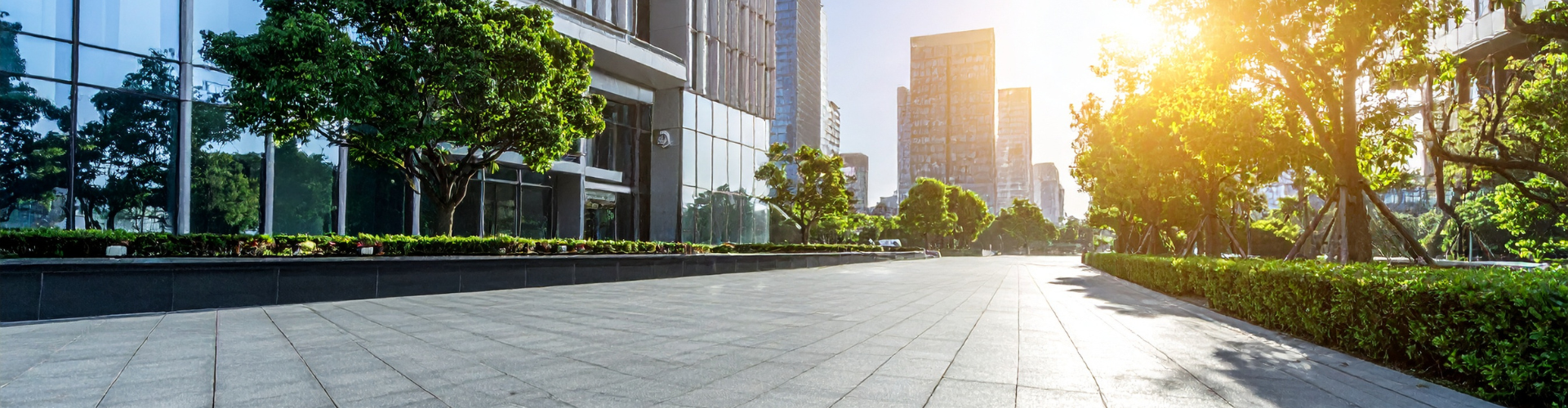 SAPプロジェクトを止めずに、
若手コンサルを戦力化する